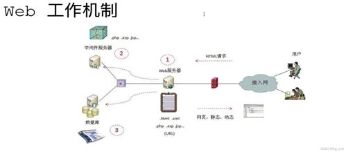 網(wǎng)絡安全學習路徑 從滲透測試到軟件開發(fā)的全方位指南